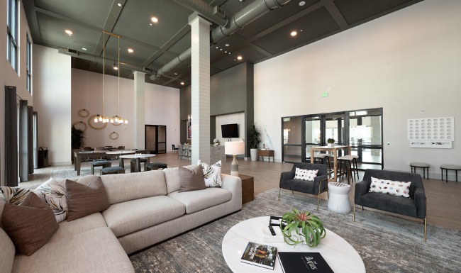 Vibrant Spaces